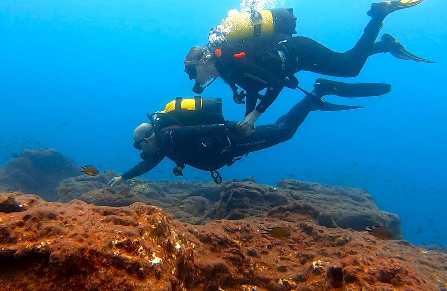 Diving and Snorkelling