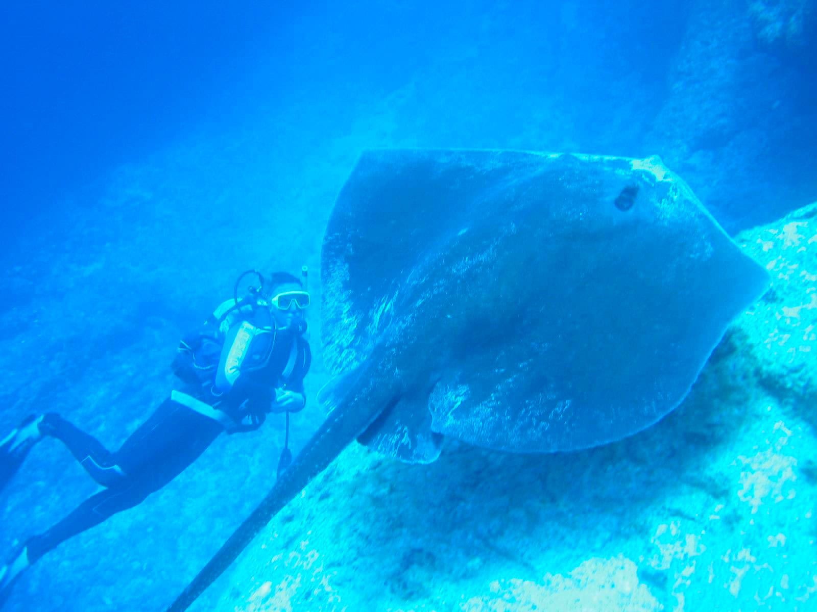 Diving and Snorkelling