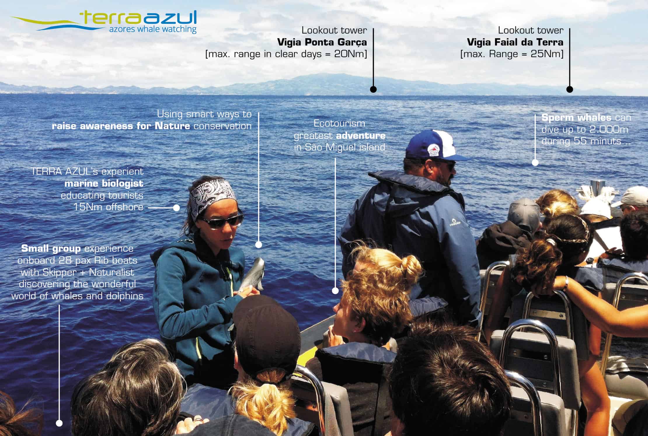 Whale watching in the Azores