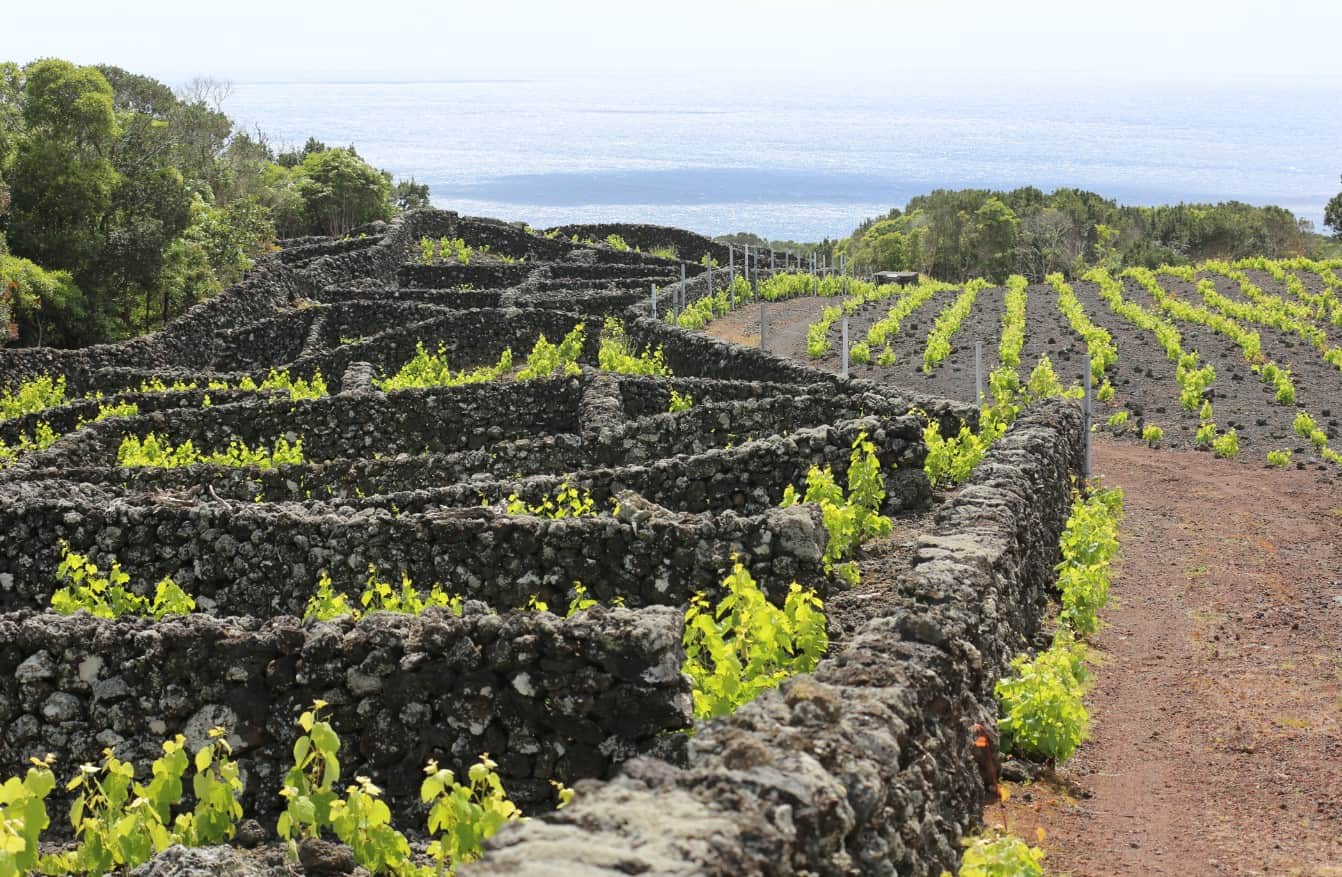 history of the azores