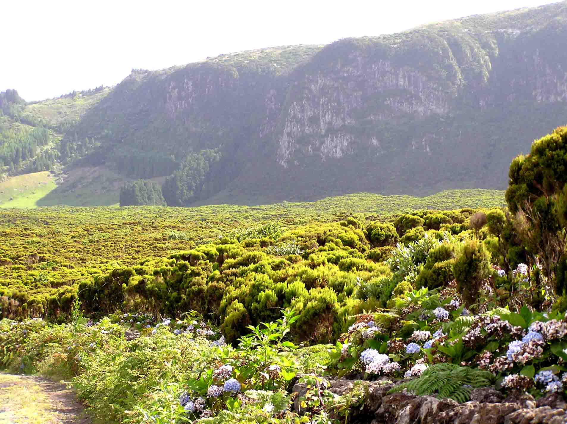 Azores Walking Guides