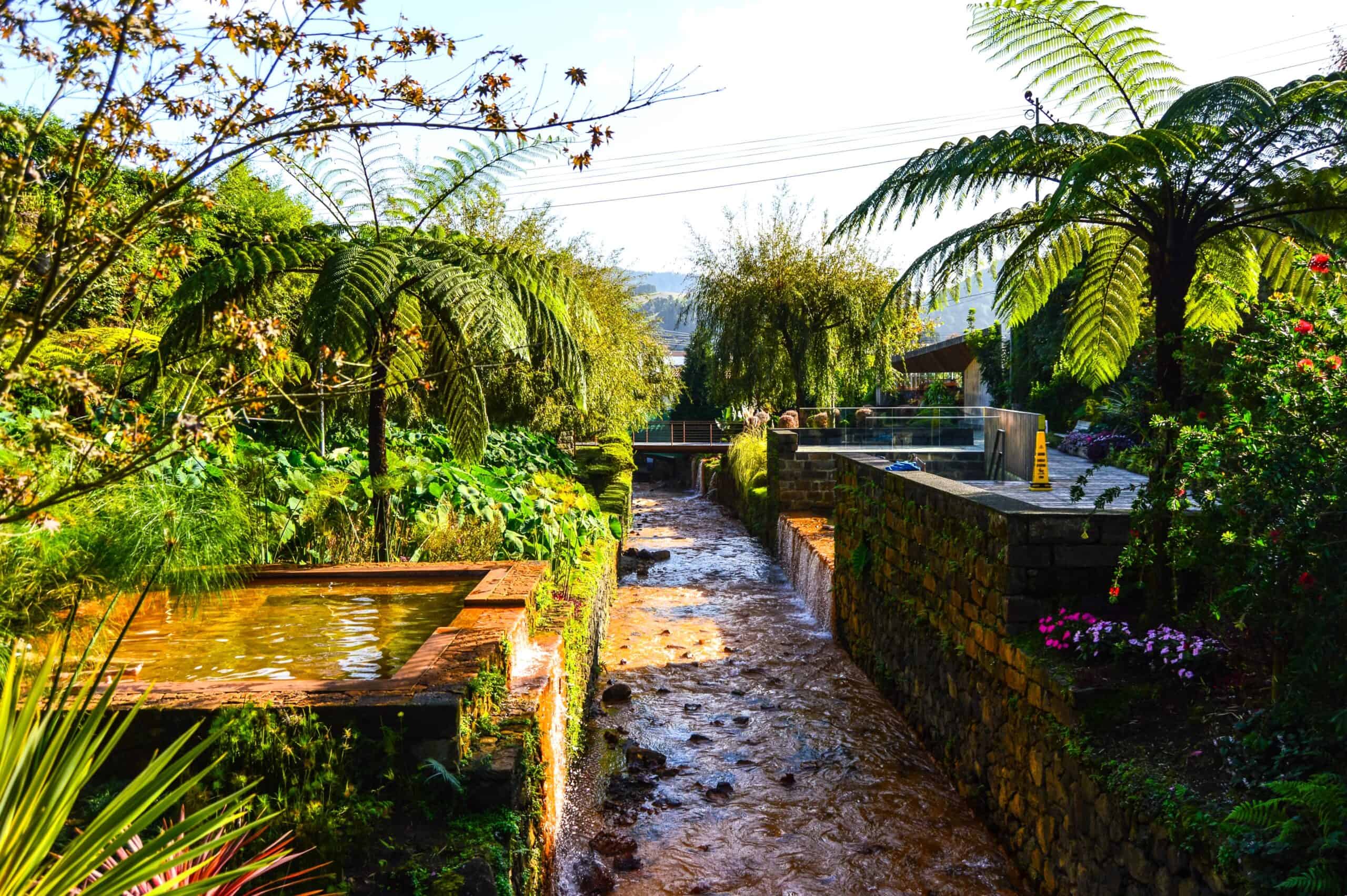Where can I book Caldera Velha